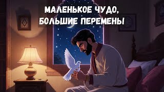 Маленькое чудо, большие перемены