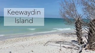 Common Shells Of SW Florida And Keewaydin Island Beaches