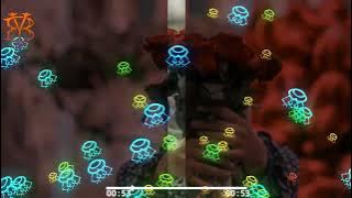 Zyrex - Love Me ( tiktok remix) edit ‼️‼️