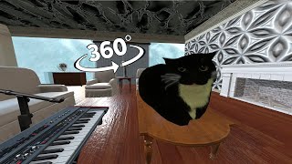 360° VR Maxwell The Cat  In Your HOUSE
