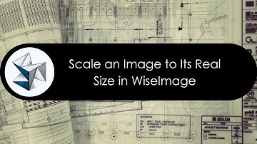 How to Scale an Image to Its Real Size in WiseImage