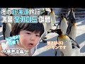 홋카이도 후편! 펭귄, 북극곰..많은 친구들을 만나서 신난 하루 北海道後半! ハルと旭山動物園へ! 🐧🐻&zwj;❄️🦭❄️