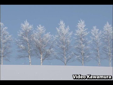 北海道美瑛町の冬景色 Youtube 北海道美瑛町の冬景色 Youtube