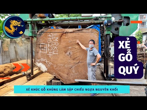🔴 Xẻ cây gỗ gõ Khủng Ngàn Năm Tuổi làm 3 tấm Sập Chiếu Ngựa
