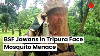 Tripura: BSF Jawans Face Mosquito Menace in Malaria-Endemic Zone screenshot 4