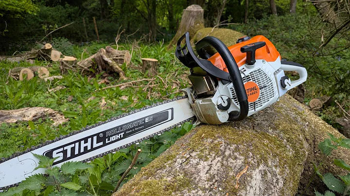 Stihl 462 Honest thoughts! Where does this 70cc professional Chainsaw fit?