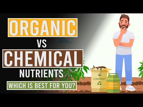 Organic Vs Synthetic Nutrients: Which is Best for you?