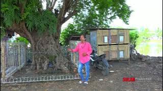 Kang Deol   Penampungan Lagu Tarling Pantura    #musicvideo #music #copyrightfree #nocopyright