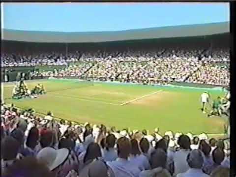 Steffi Graf: Virginia Wade comments in 1991 on what went wrong with Steffi's game from 90-93. You'll note she never once mentions Monica Seles. She attributes the slump in Steffi's play to two factors: Steffi's general psychological state (her confidence) and Gabriela Sabatini. Wimbledon 1991