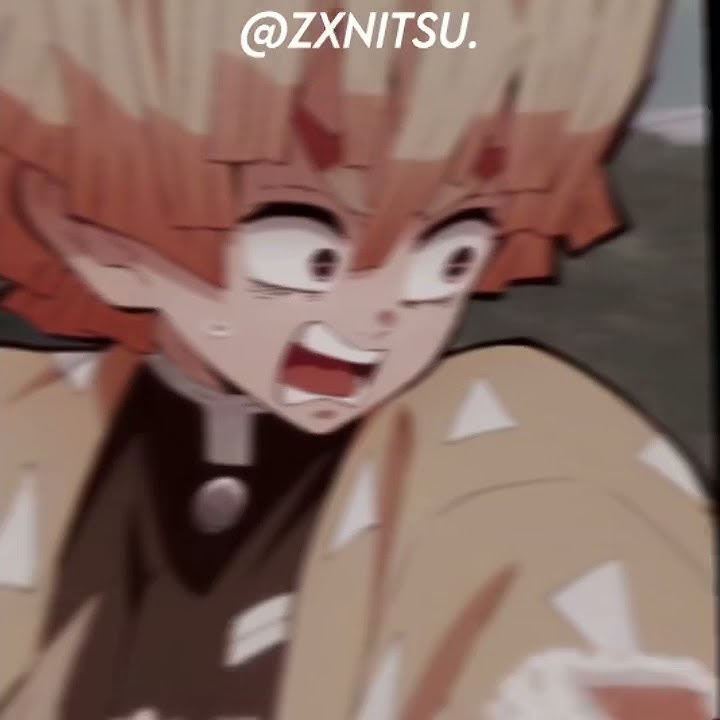 Z e n i t s u  E d i t