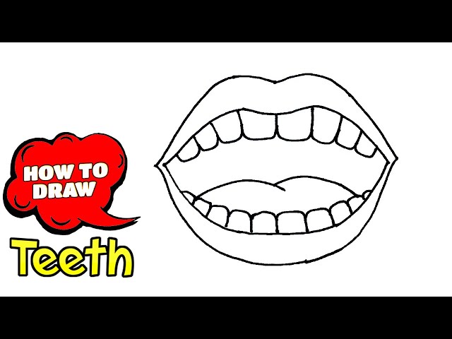 Drawing Tooth Basic  Dente Desenho Png Transparent Png  Transparent Png  Image  PNGitem