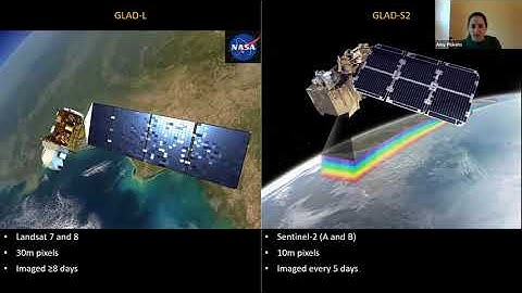Advances in Forest Monitoring Alert Systems
