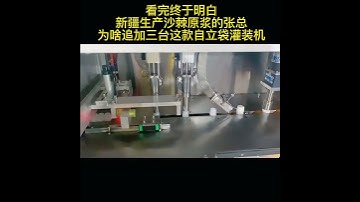 Automatic dual head spout pouch filling capping machine