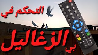 اتحكم في زغاليل بريموت كنترول في ((سلسله خطوه بخطوه من تحت الصفر 2)) #ابوهوجان