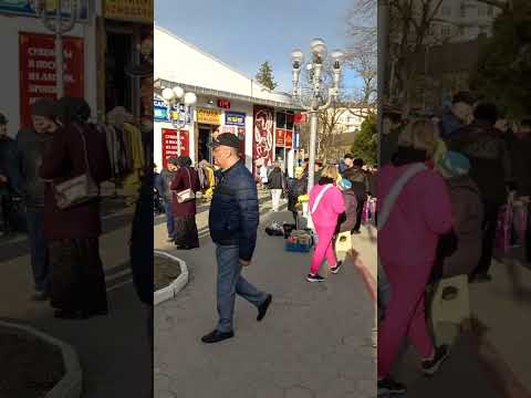 Расплескалась  синева