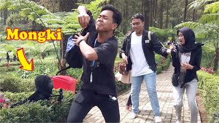 REAKSI LUCU ketika bertemu dengan monyet nakal ini..!!