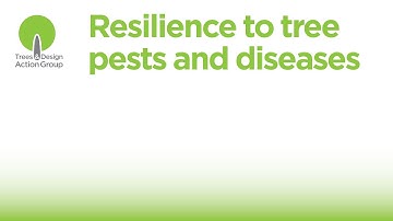 Resilience to tree pests and disease - 10 June 2025