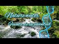 Nature sound water msica para fuente de la eterna juventudeliminar cualquier enfermedad
