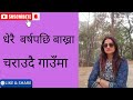 धेरै बर्षपछि जङ्गलमा बाख्रा चराउन लैजादै