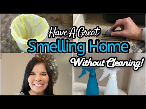 HOW TO MAKE YOUR HOME SMELL AMAZING #smellyhouse #cleanwithme2022 #cleaninghacks  #odorremoval #DIY