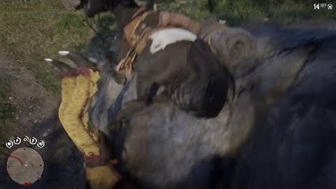 RDR2 - Bits and pieces