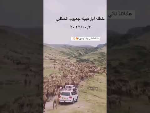 خطلية أبل بيت جعبوب الحكلي السان ظفار سلطنة عمان