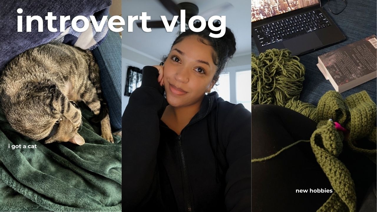 life of an introvert 💌 I got a cat, new hobbies & chatting