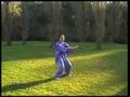 Wu Xing Qi Gong