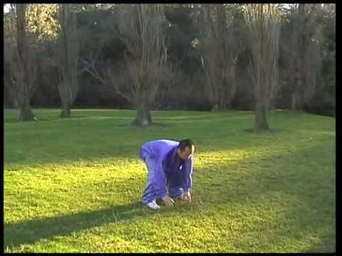 Wu Xing Qi Gong