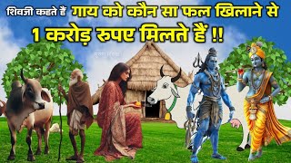 गाय को कौन सा फल खिलाने से 1 करोड़ रुपए मिलते हैं !! गाय को कौन सा फल खिलाने से उत्तम फल मिलता है