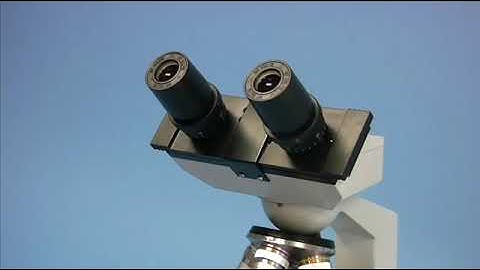 OMAX 40X 2000X Biological Compound Microscope with Mechanical Stage and LED Light