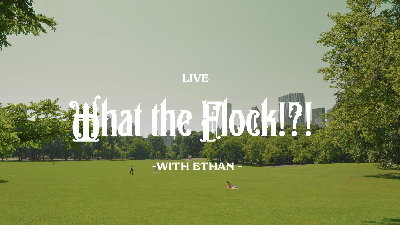 What the Flock? With Mumma Di 2