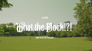 What the Flock? With Mumma Di 2