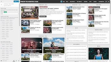 Layout Options - PrimeWP PRO WordPress Theme