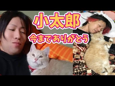小太郎、今までありがとう