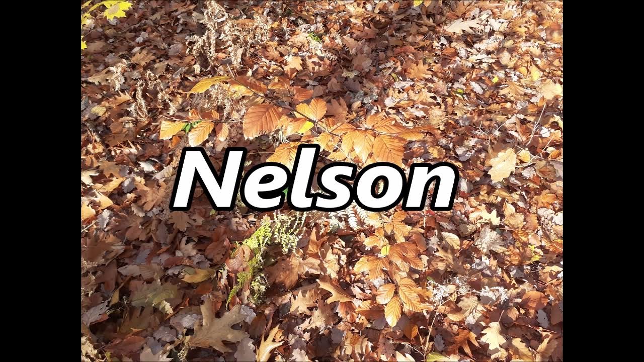 NELSON As Family Name Meaning And Origin YouTube nelson-as-family-name-meaning-and-origin-youtube