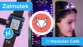 Zalmotek // Hackster Café