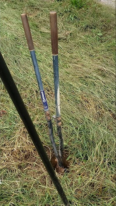the 2 tools needed to dig fence post holes 🕳 - YouTube