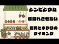 シンビジウムの根腐れ原因はコレ！肥料と水やりの頻度&タイミング。