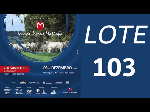 LOTE 103