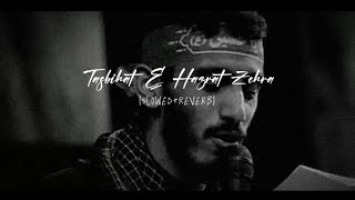 Tasbihat-e-Hazrat_Zehra_♪_[Slowed___Reverb]_-_Mehdi_Rasouli