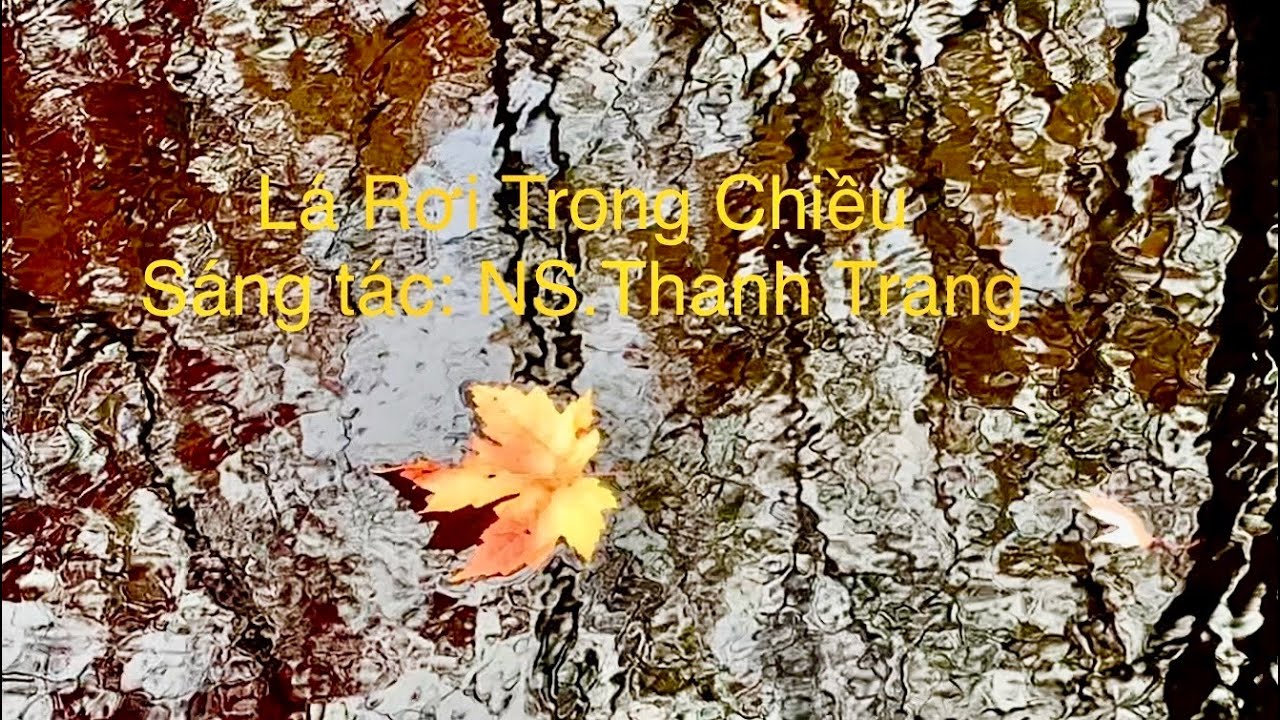Lá Rơi Trong Chiều - Sáng tác: Thanh Trang - Hình ảnh & Giọng hát: Sin ...