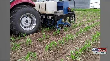 The benefits of interseeding cover crops in corn and soybeans