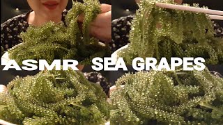 ASMR SEA GRAPES | CRUNCHY EATING SOUNDS | TKMA ASMR