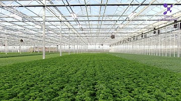 Bridge Farm Group   Clay Lake, Spalding, Lincolnshire