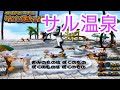 ピポサル2001 ぴちゃぴちゃランド サル温泉 ピポサル2001 ぴちゃぴちゃランド サル温泉