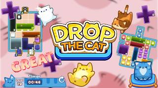 Drop the Cat level 1 to 5 Complete walk through Solution