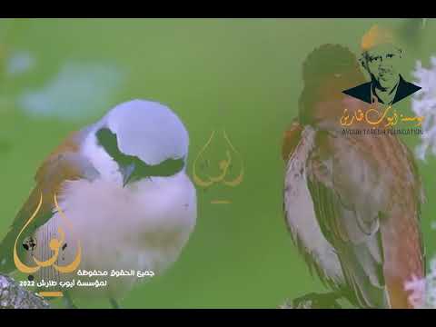 ايوب طارش - غردين يا طيور