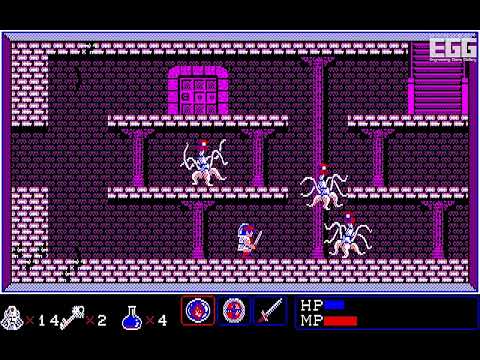 動画