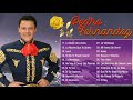 Pedro Fernandez Sus Grandes Exitos - Top 20 Mejores Canciones De Pedro Fernandez  GRANDES EXITOS